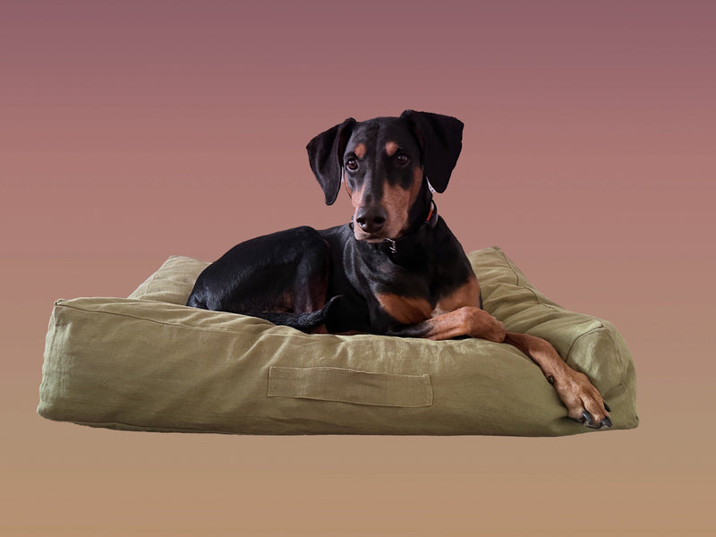 London Fields Dog Bed: Chic and Cozy Pet Retreat